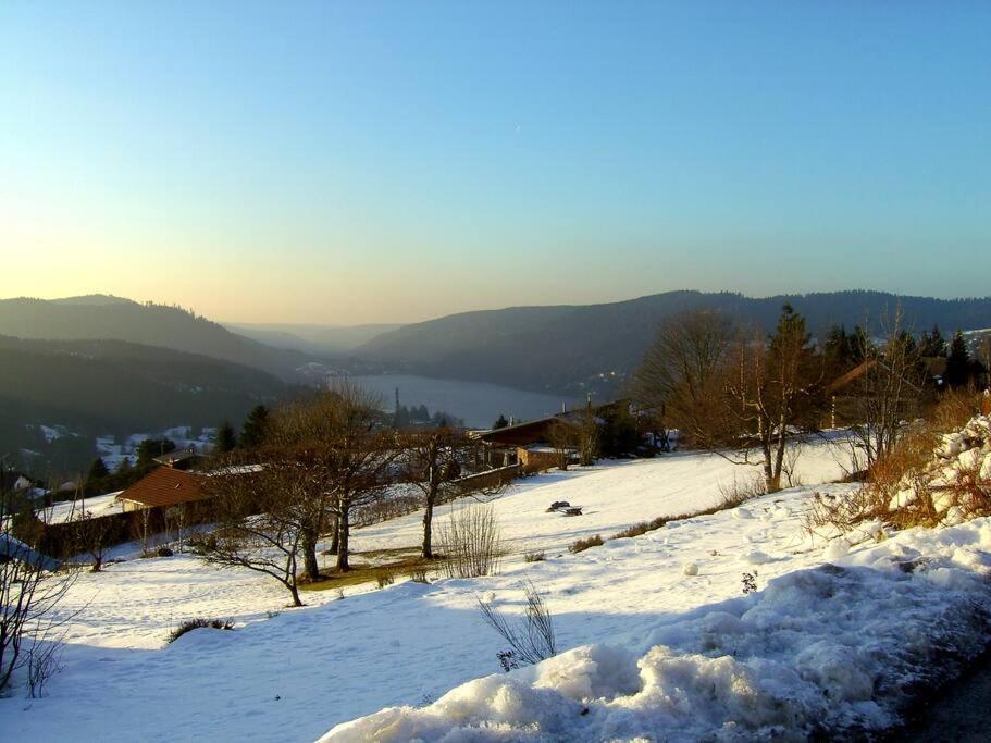 Gerardmer Centre - Studio Au Pied Du Lac Grande Terrasse Gérardmer Exterior foto